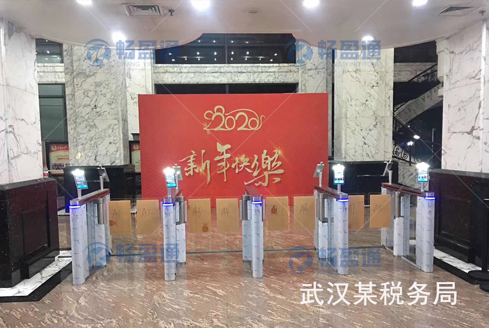 擺閘/翼閘/三車(chē)輥閘 